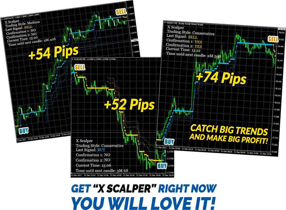 Best forex trading signal provider